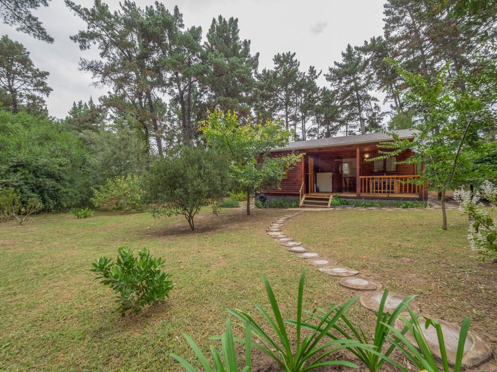 Eagles' Call Cottages And Tent Wildernis Exterior foto