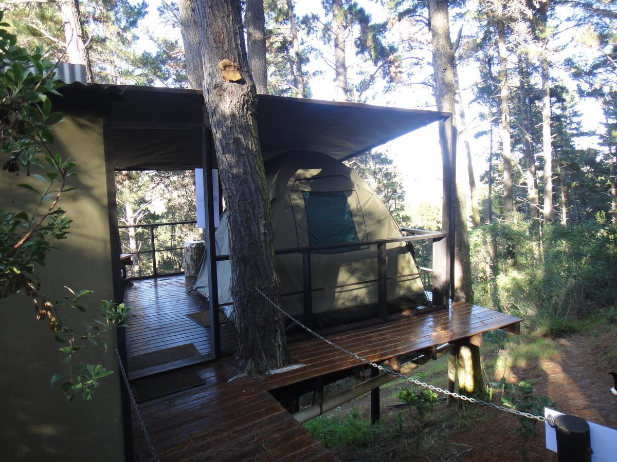 Eagles' Call Cottages And Tent Wildernis Exterior foto